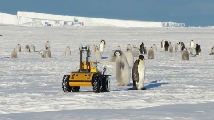 Scientist's robot collects data near penguins
