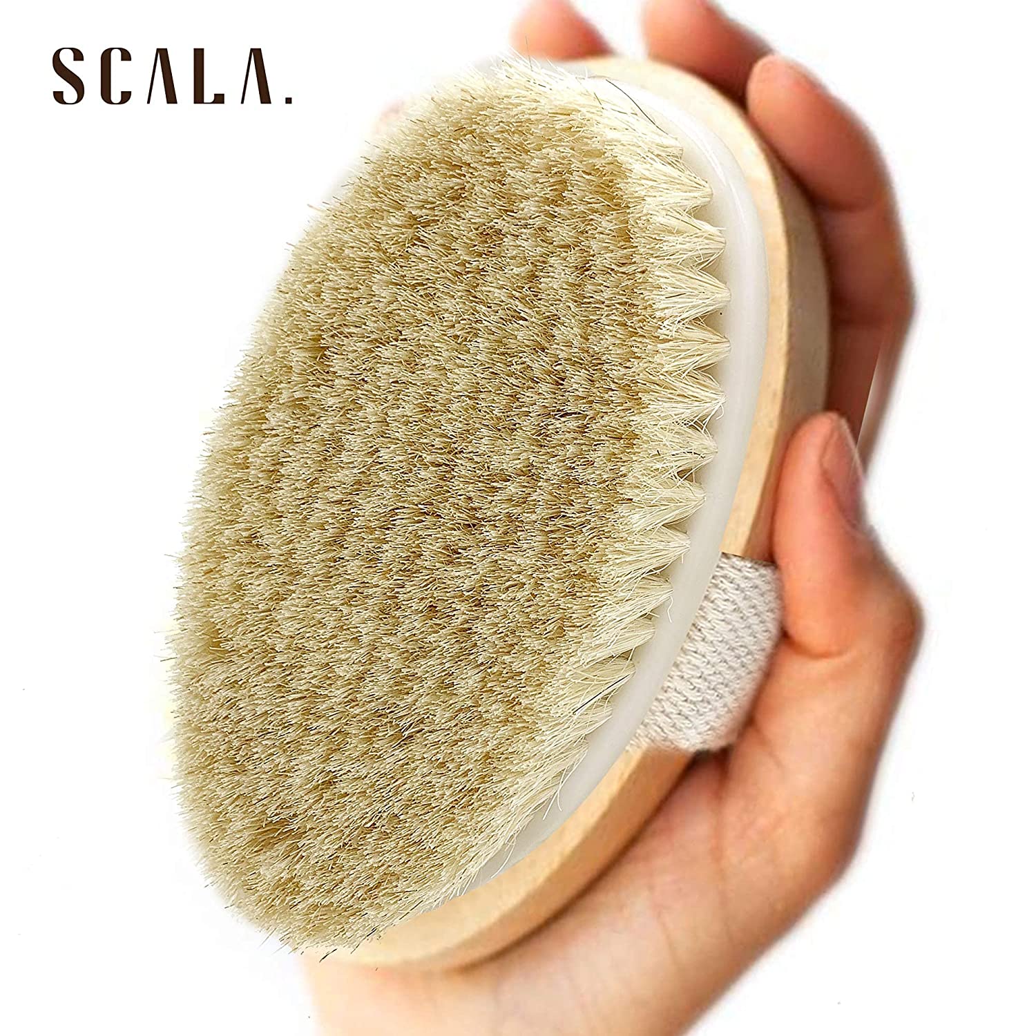 Scala wet or dry brush
