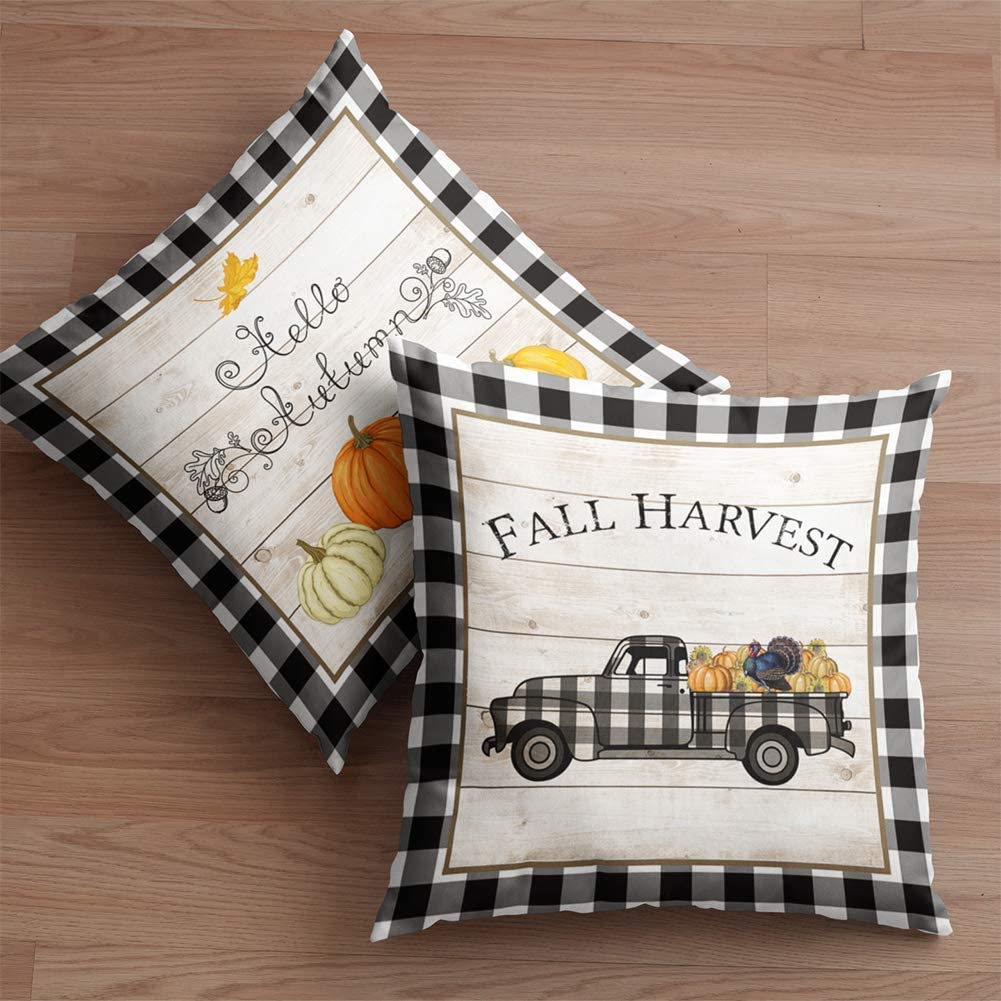 Pumpkin harvest pillow set
