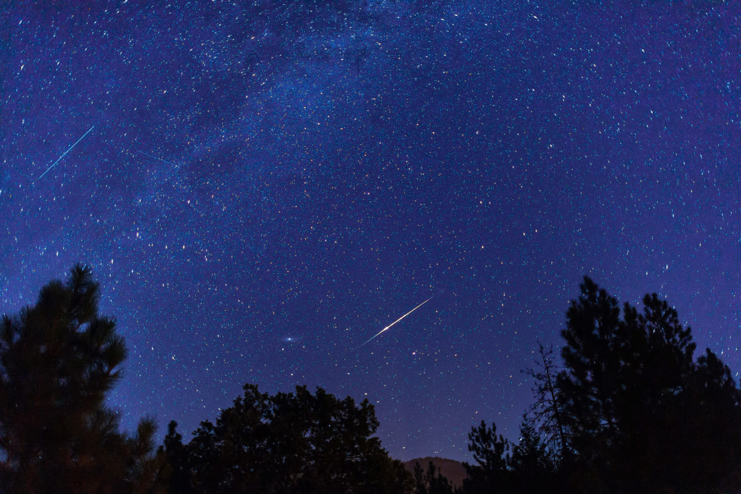 meteor in dark blue night sky with silhouetted trees framing the bottom of the image