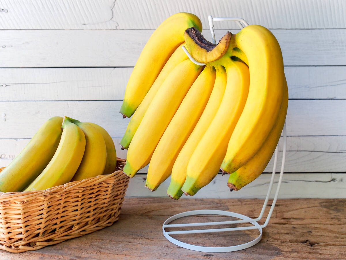 bananas hang on a hanger on kitchen counter