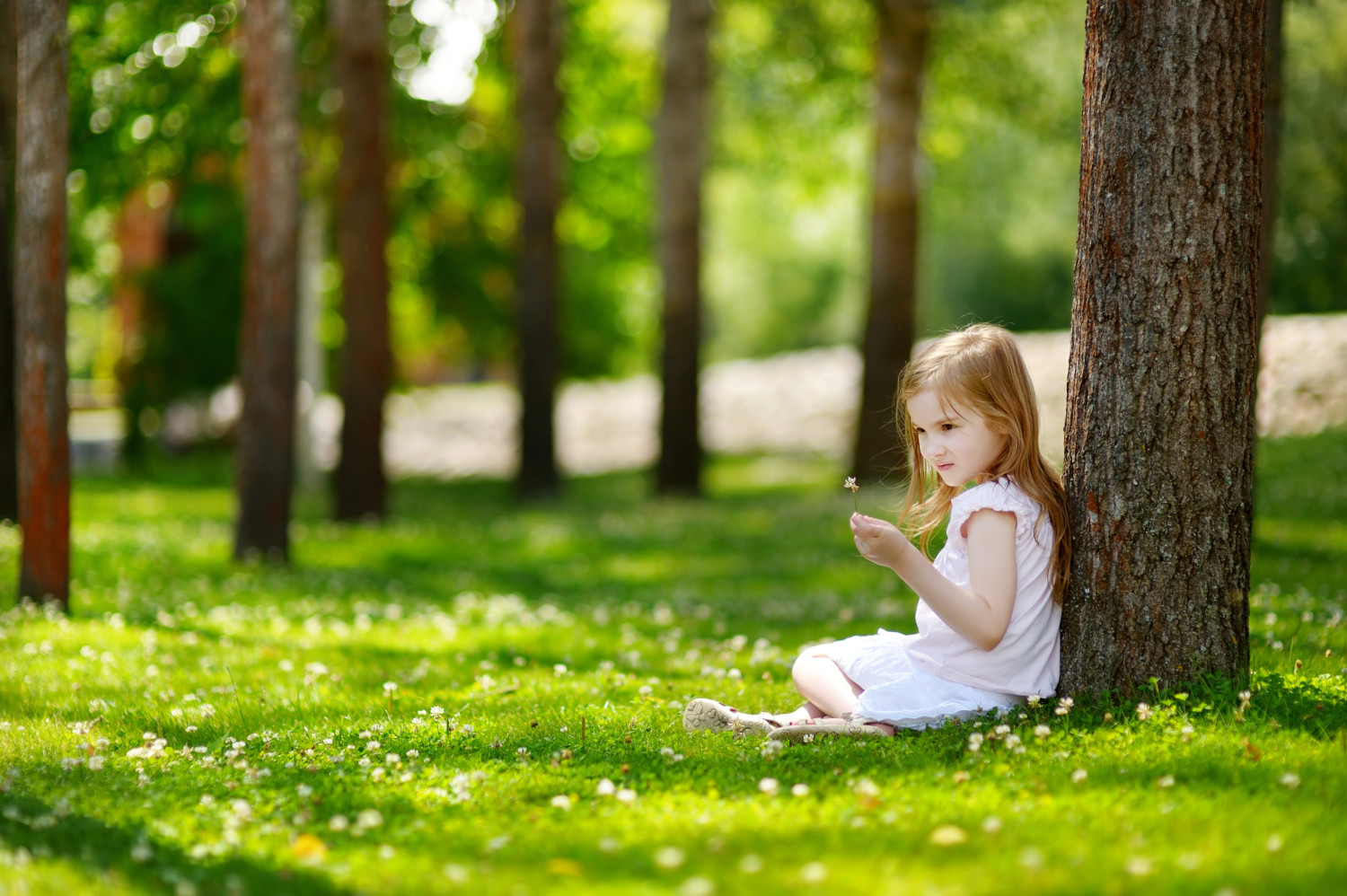 Cute little girl sitting on a clover field
