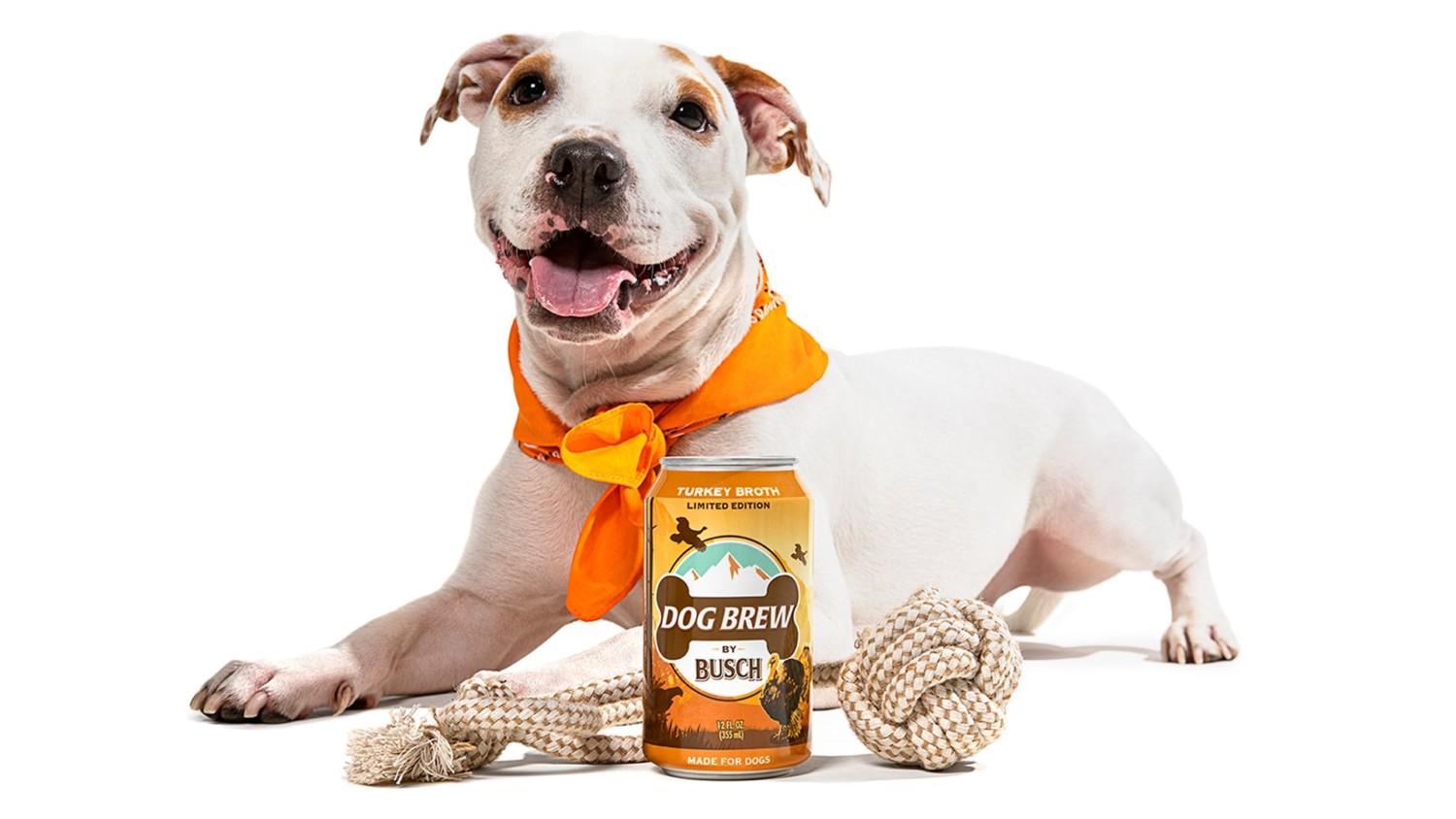 Kira the rescue dog with Busch Turkey Brew