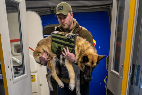 Beloved service dog honored by crew and passengers as she takes final flight home