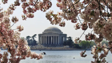 The Jefferson Memorial is pictured with the spring time blooms of Japanese Cherry Blossoms along the Tidal Basin in Washington, D.C., Friday, March 23, 2012.