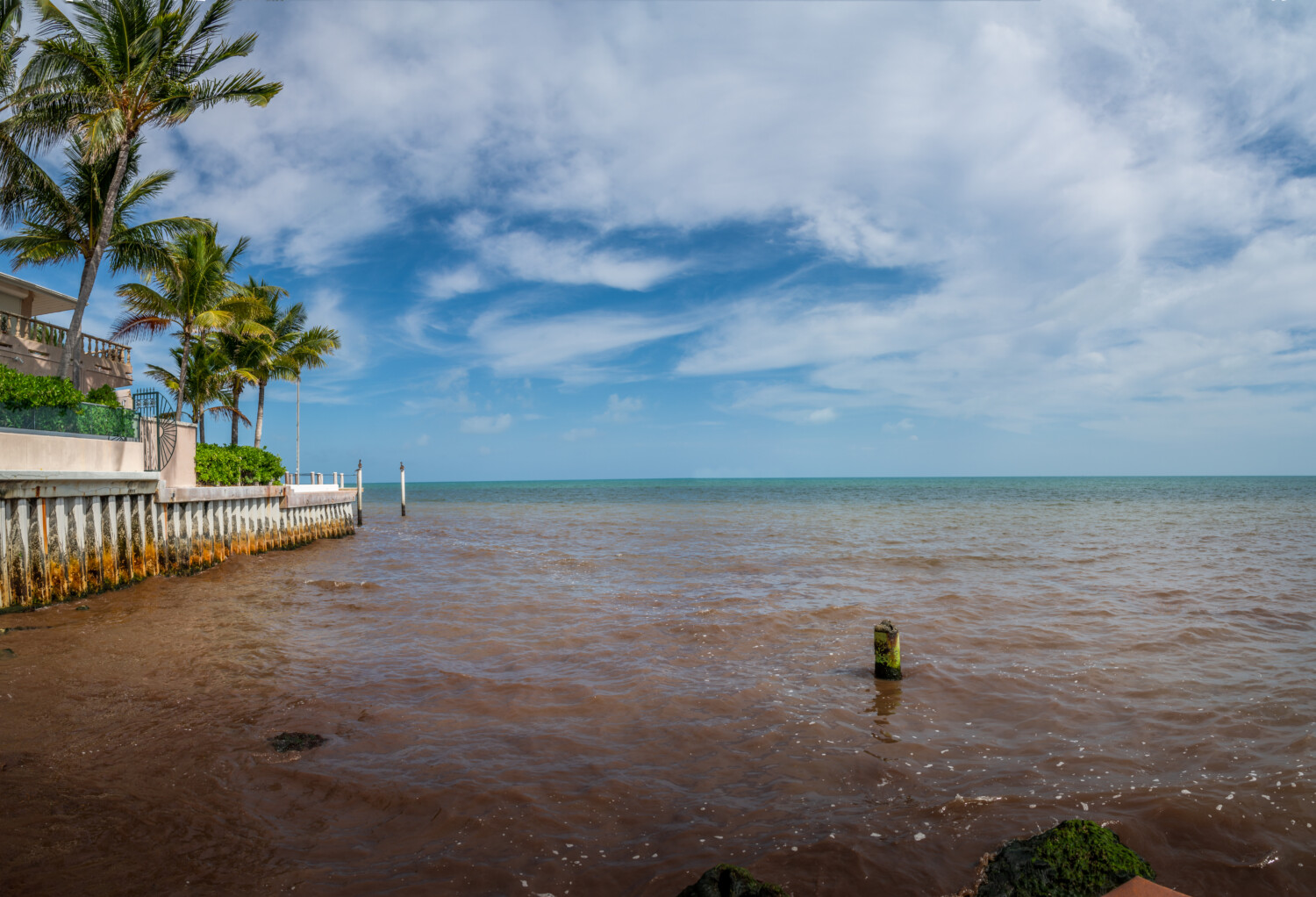 Red tide in summer season. Harmful algal bloom phenomenon in Key