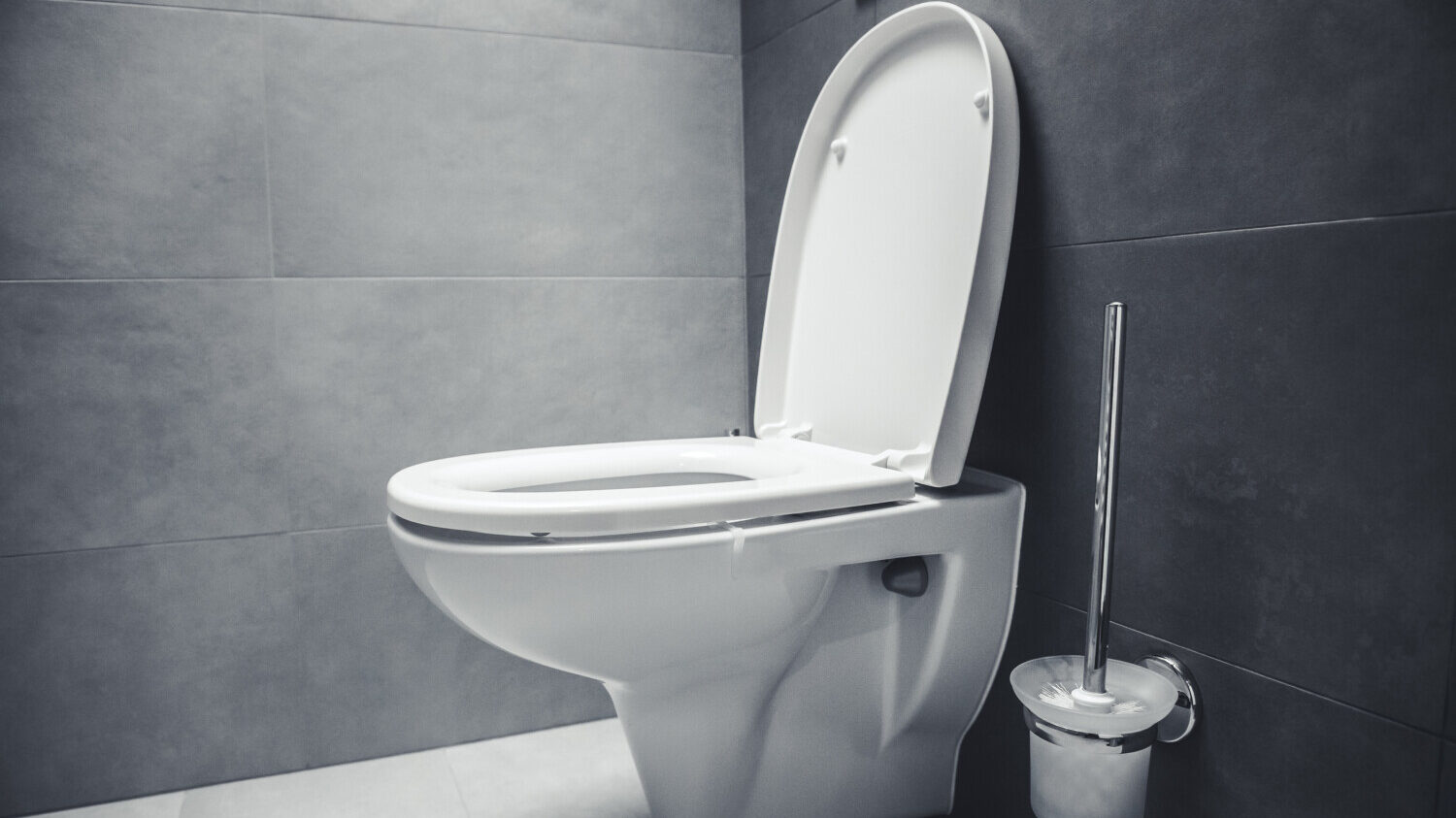 These innovative toilets can raise and lower their own seats