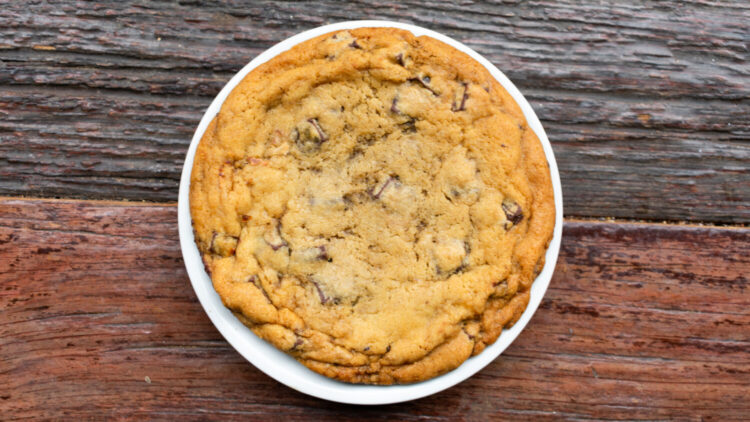 Giant chocolate chip cookie on white plate