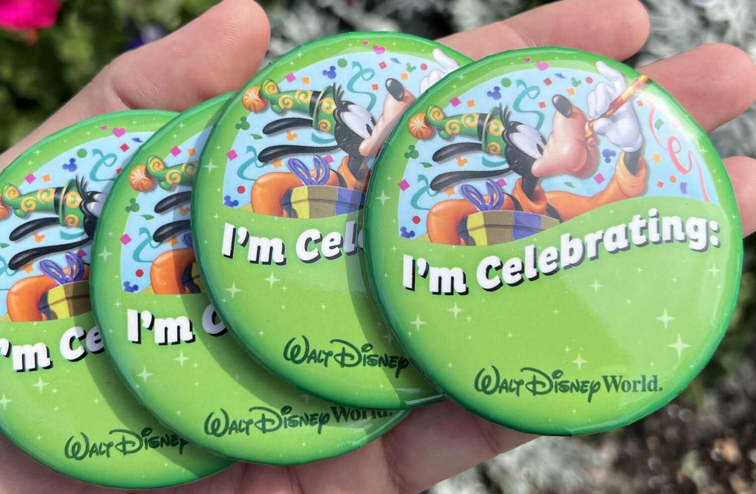 Celebration buttons Walt Disney World