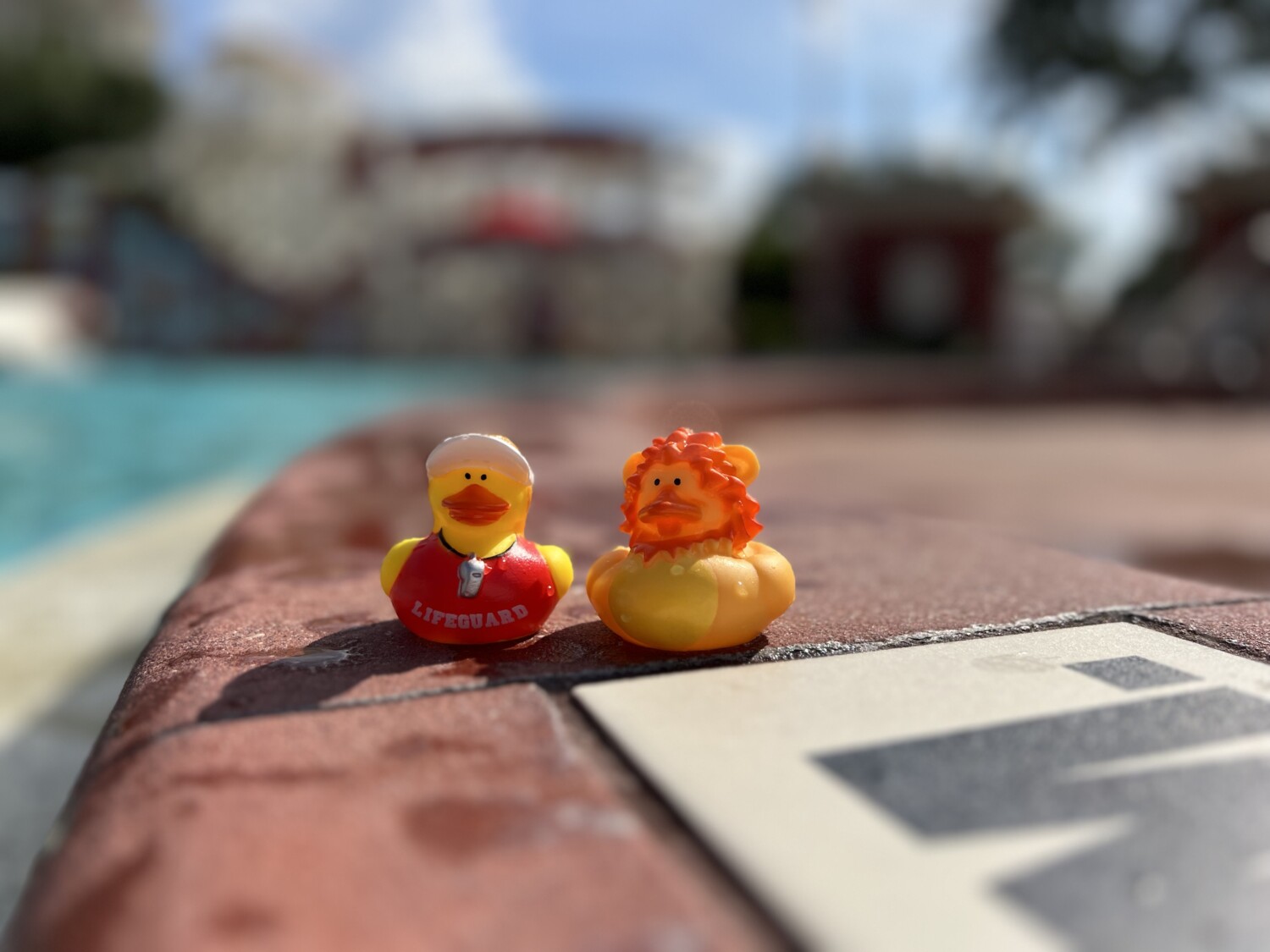 Pool prizes Disney's Boardwalk Resort Disney World