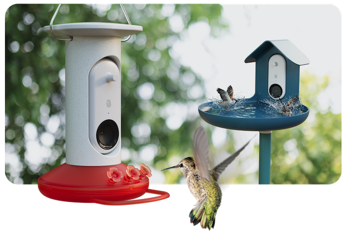 A photo of a smart hummingbird feeder with hummingbirds fllying around it