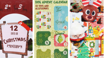 Pet Advent calendar options