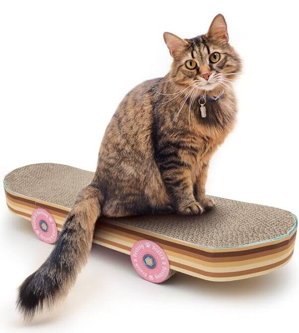Suck UK Cat Scratch Pad Skateboard Cat Scratchers