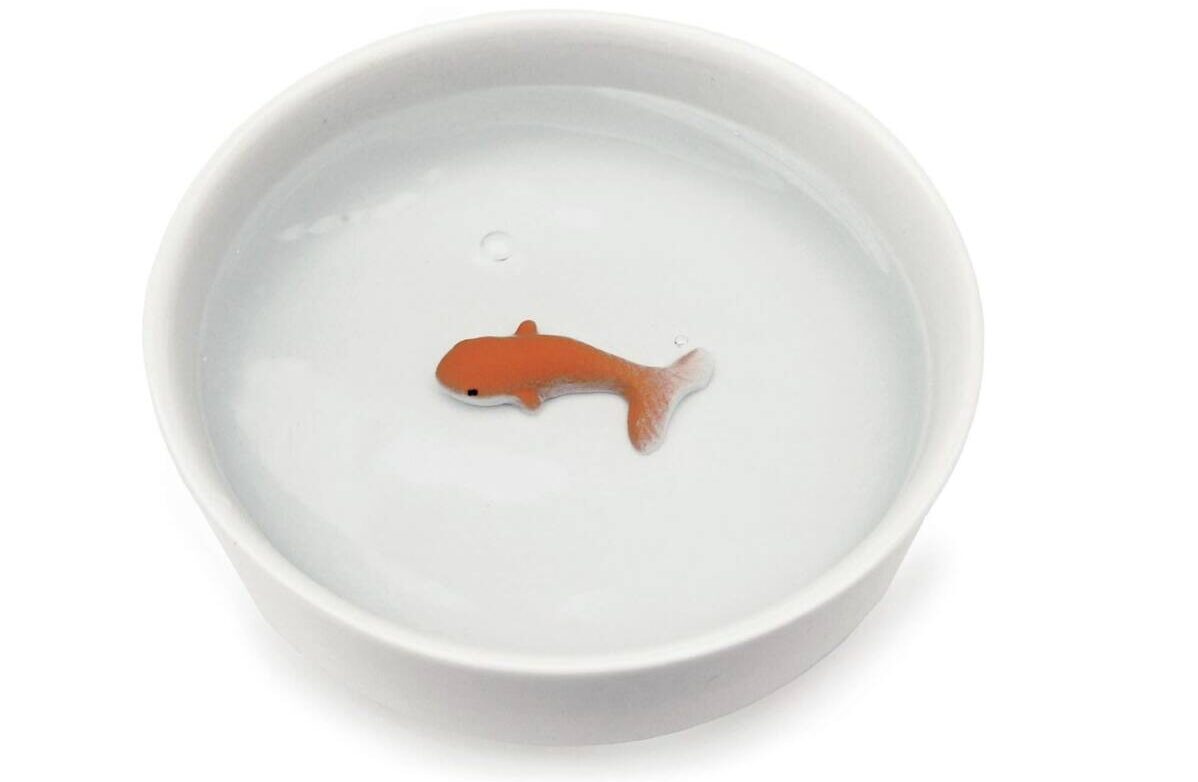 Suck UK | Ceramic Cat Bowl | Cat Bowls for Water with 3D Fish