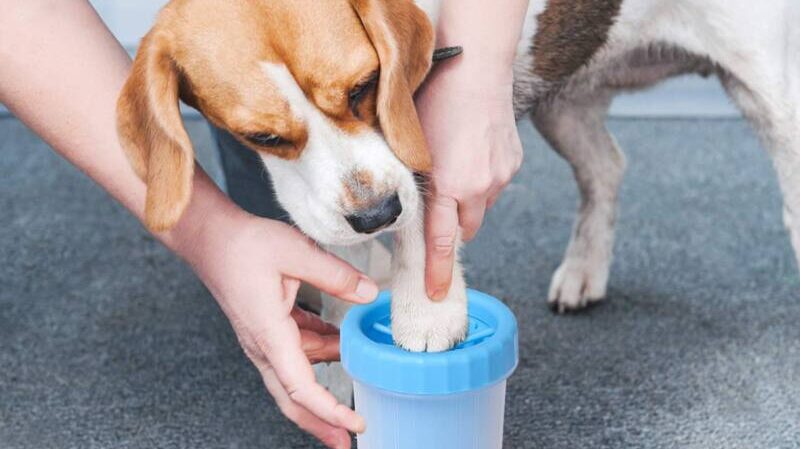 Jenseits Dog Paw Cleaner