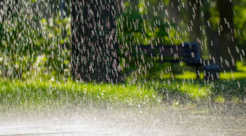 Drops of warm summer rain, falling on the asphalt close up
