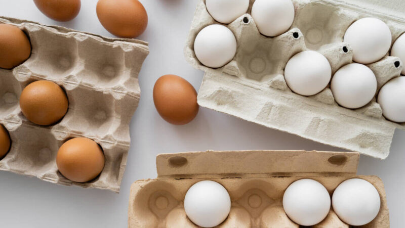 Top view of eggs and cardboard containers on white background