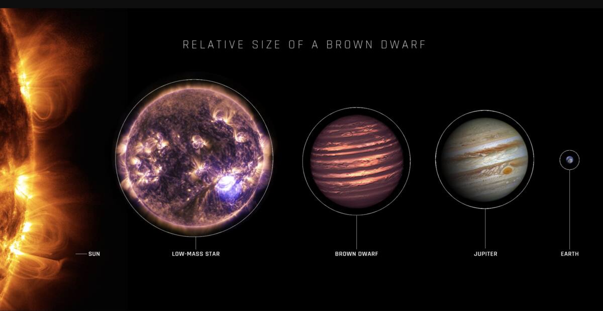 nasa artist's depiction of brown dwarf in comparison to Jupiter, Earth, and the sun