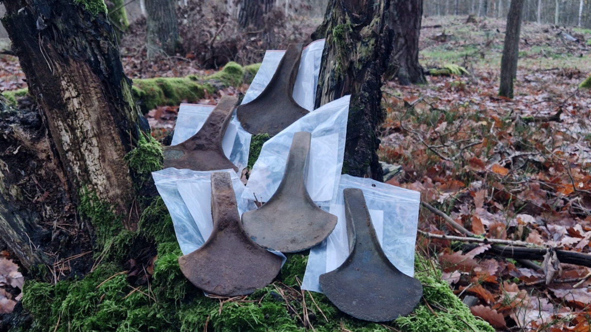 collection of 5 bronze age axes found in Polish forest by man with metal detector in Nov. 2023