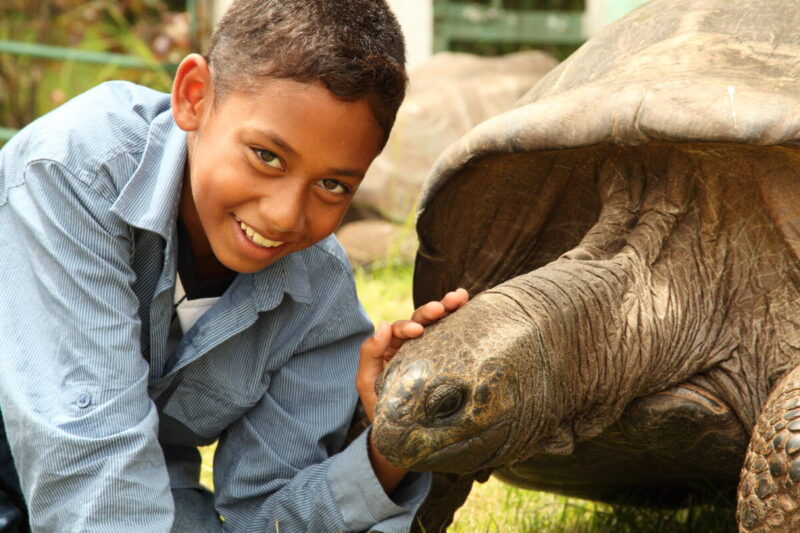 Boy visits with Jonathan the giant tortoise