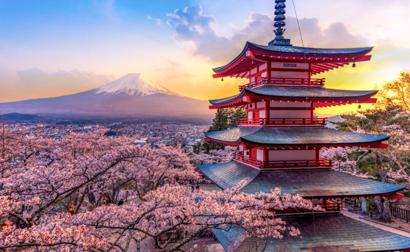 A sunset view of Chureito pagoda with Mount Fuji in the distance and a cherry blossom tree in the foreground