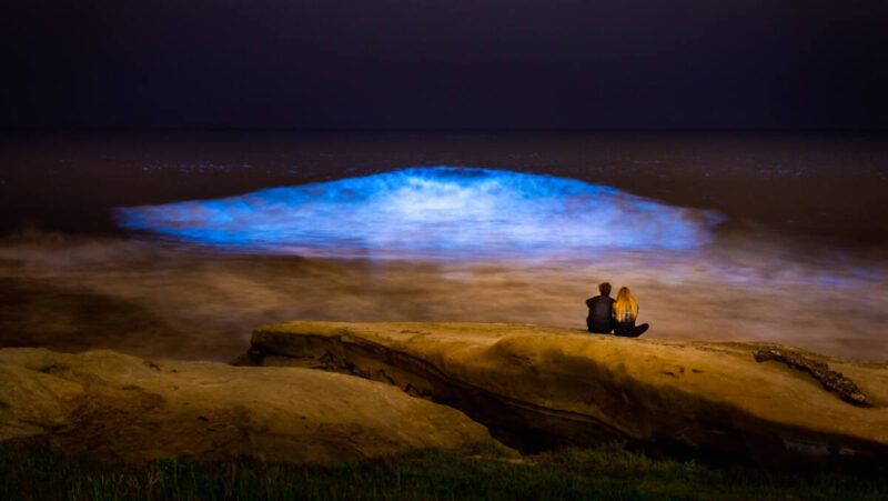 People on beach watch bioluminescent algae light up a wave