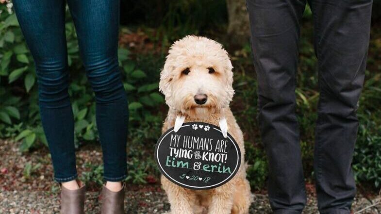 A couple with their dog holding a sign saying they're engaged.