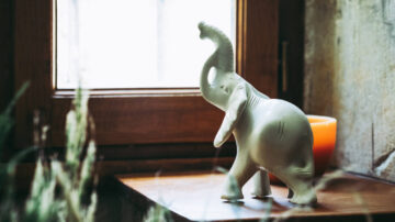 elephant statue by window