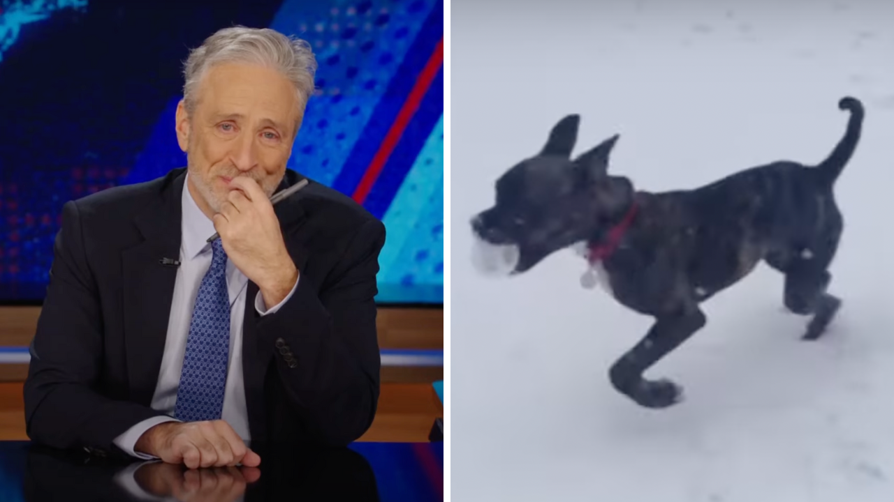 Watch Jon Stewart’s heartbreaking eulogy for his dog