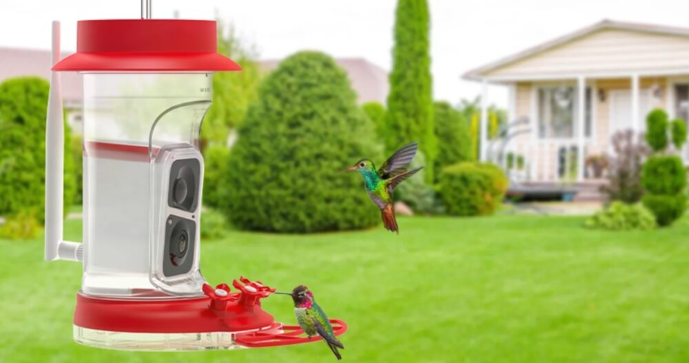A hummingbird feeder