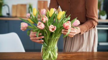 woman arranging tulips in a vase