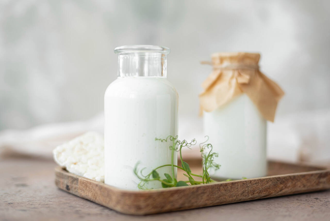 Milk and homemade buttermilk in glass jars