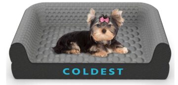Coldest Dog Bed
