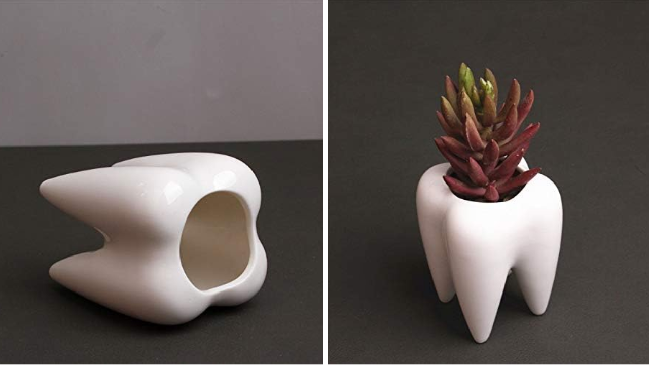 Tooth Shaped Succulent Pots