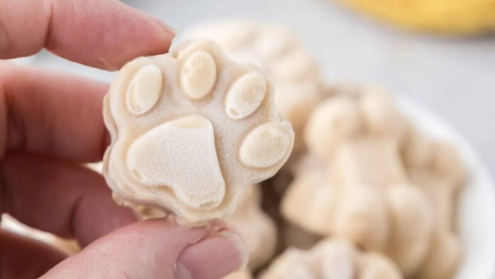 Woman holding paw-shaped frozen dog treat