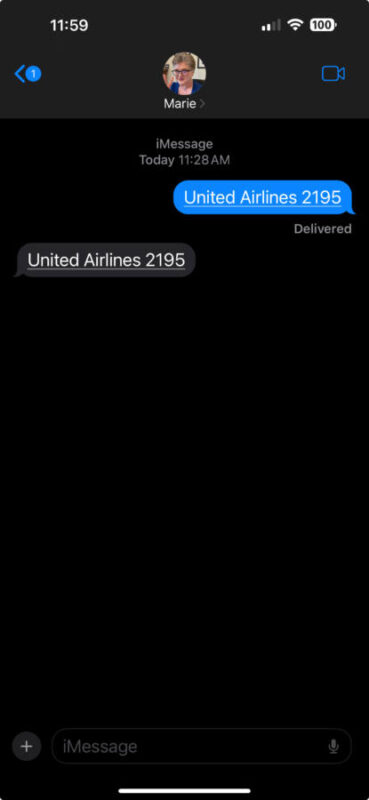 Screenshot of iMessage test for flight information