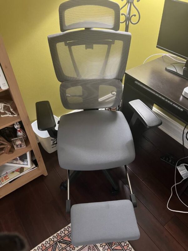 FlexiSpot Premium Ergonomic Office Chair