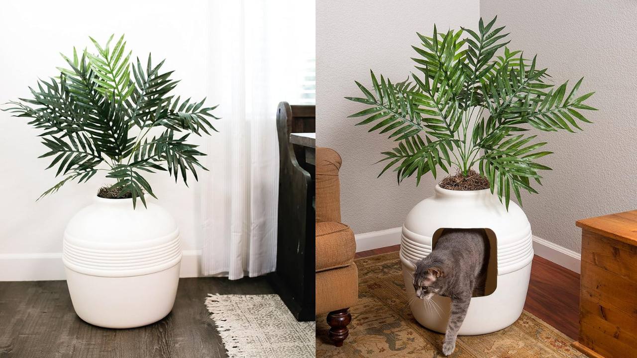 Dual image. On the left is a photo of a faux plant in a white planter. On the right is the faux plant with a cat coming out of the planter.