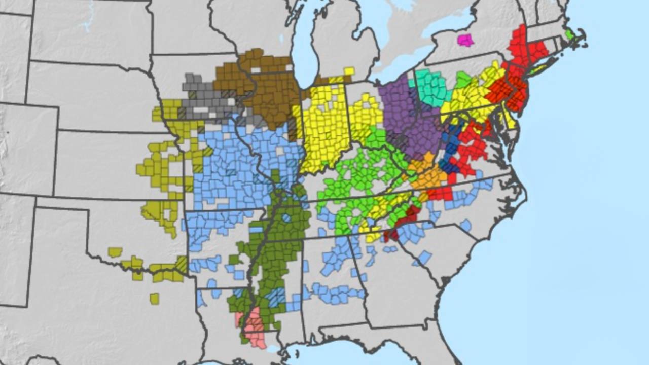 This map shows where trillions of cicadas will emerge in 2024