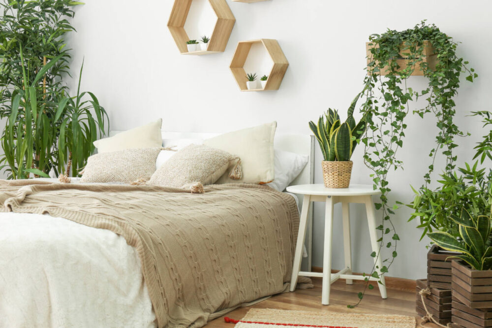 bedroom with houseplants