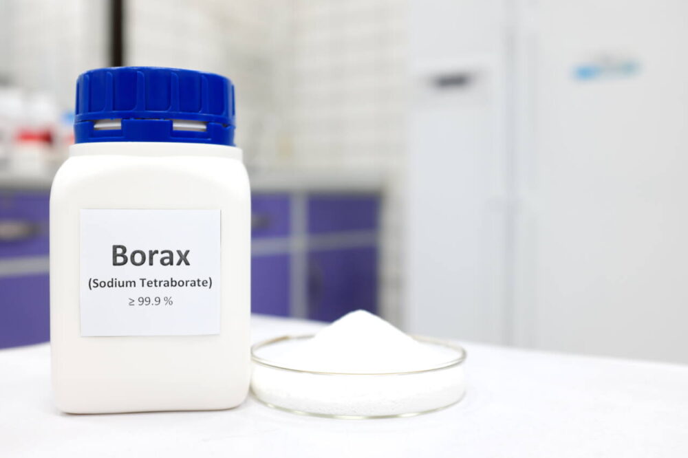 Bottle labeled borax next to white powder in petri dish