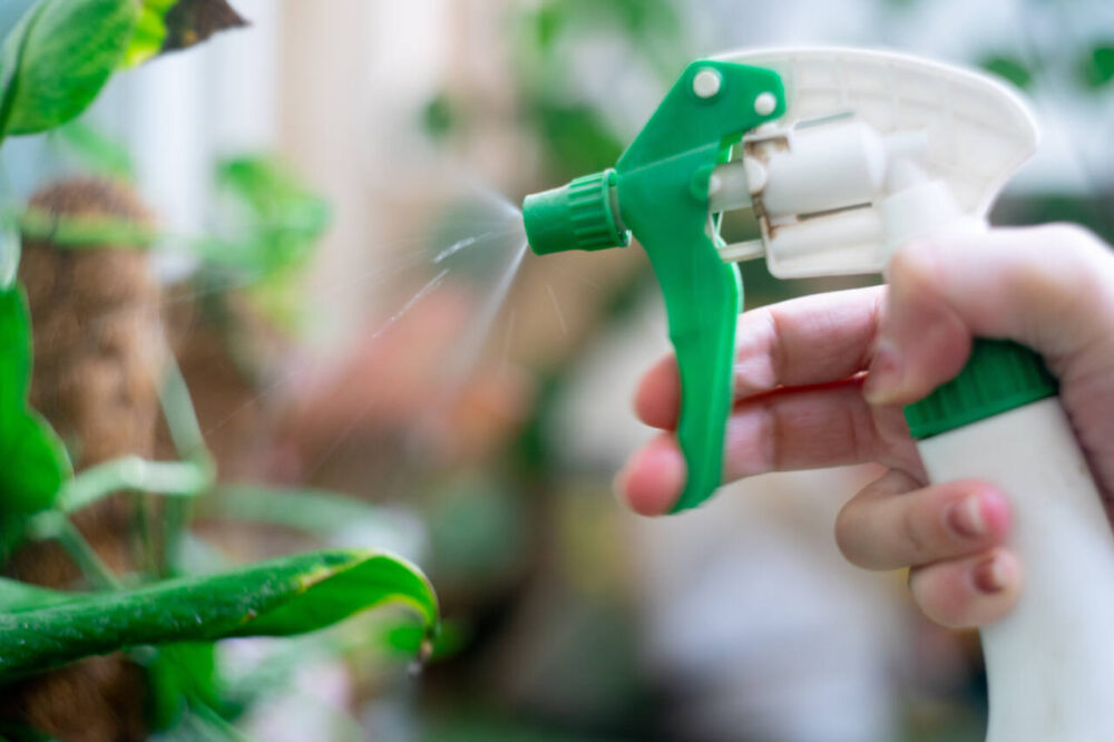 spray bottle being used on plants