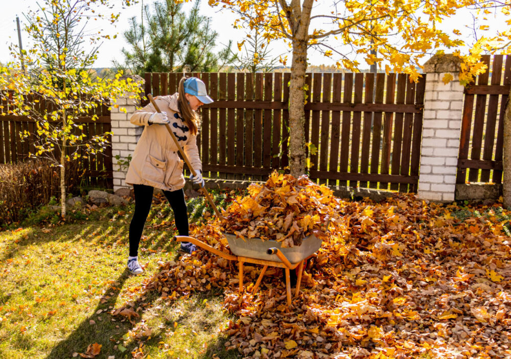 Woman raking leaves in the fall