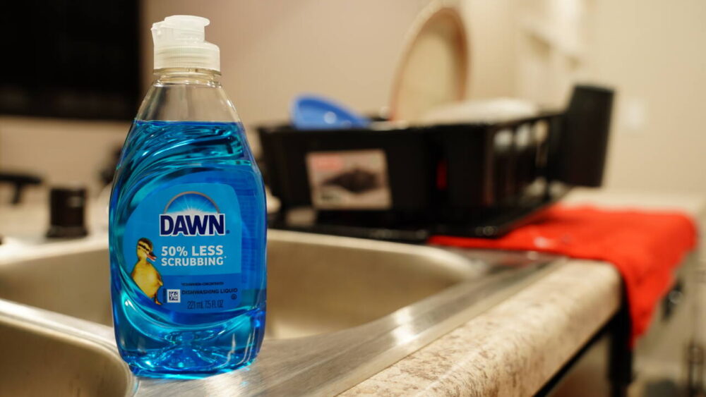 Dawn dish soap bottle on kitchen sink edge